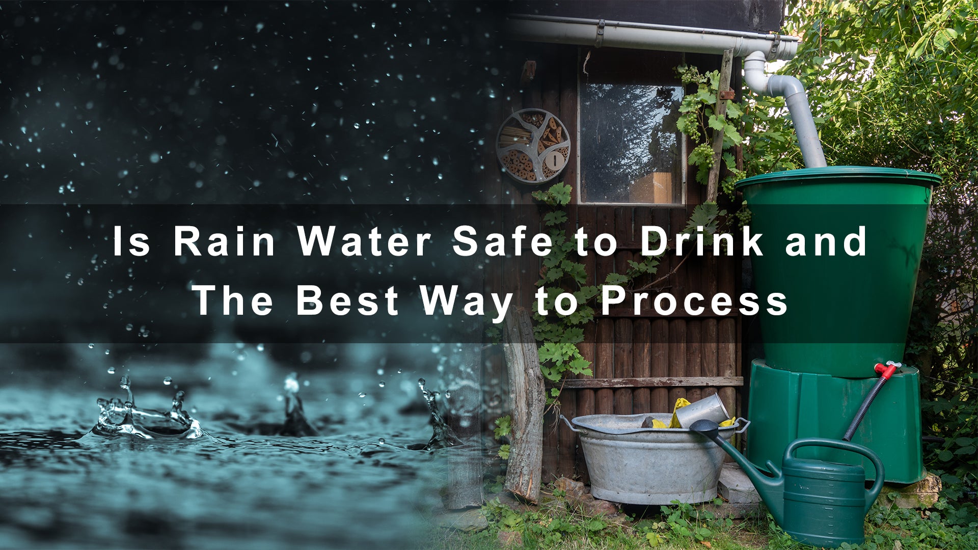 Is Rain Water Safe to Drink and The Best Way to Process