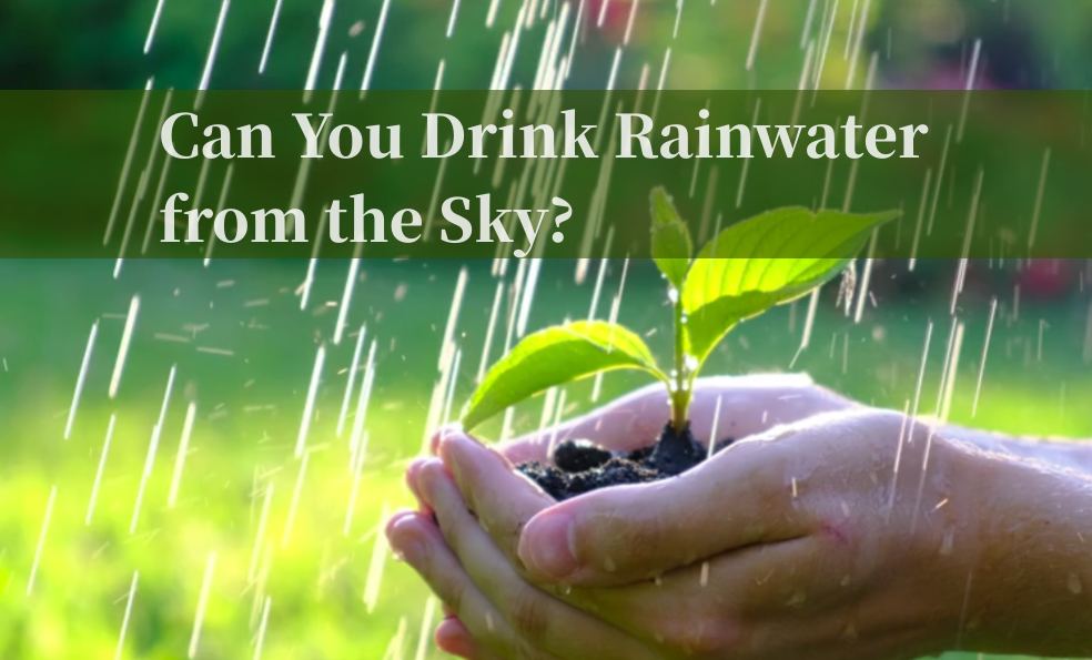 Can You Drink Rainwater from the Sky?