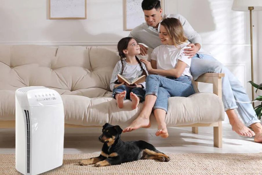 Can Air Purifiers Help With Dry Air? Discover the Truth