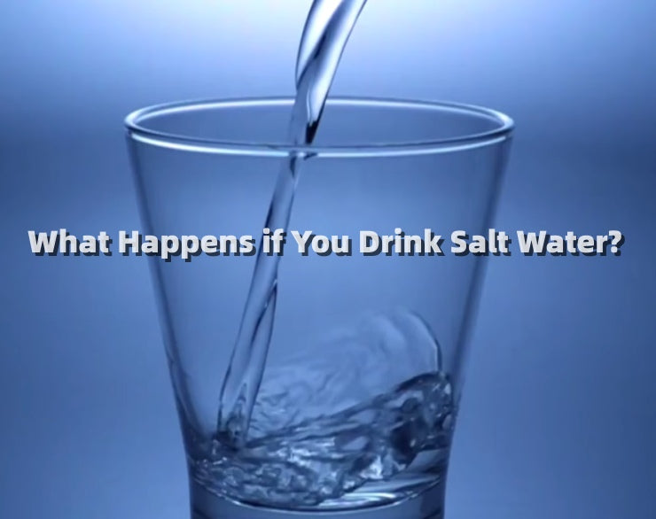 What Happens if You Drink Salt Water? Can You Use a Water Filter Straw?