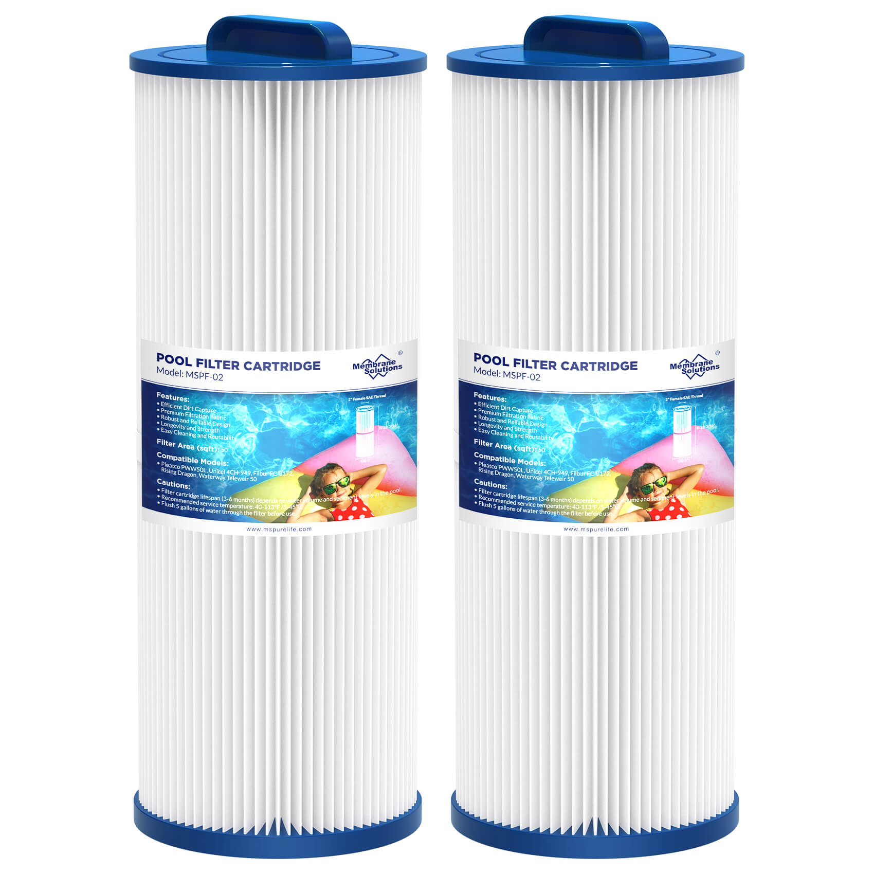 F2 Swimming Pool Filter Cartridge Replacement